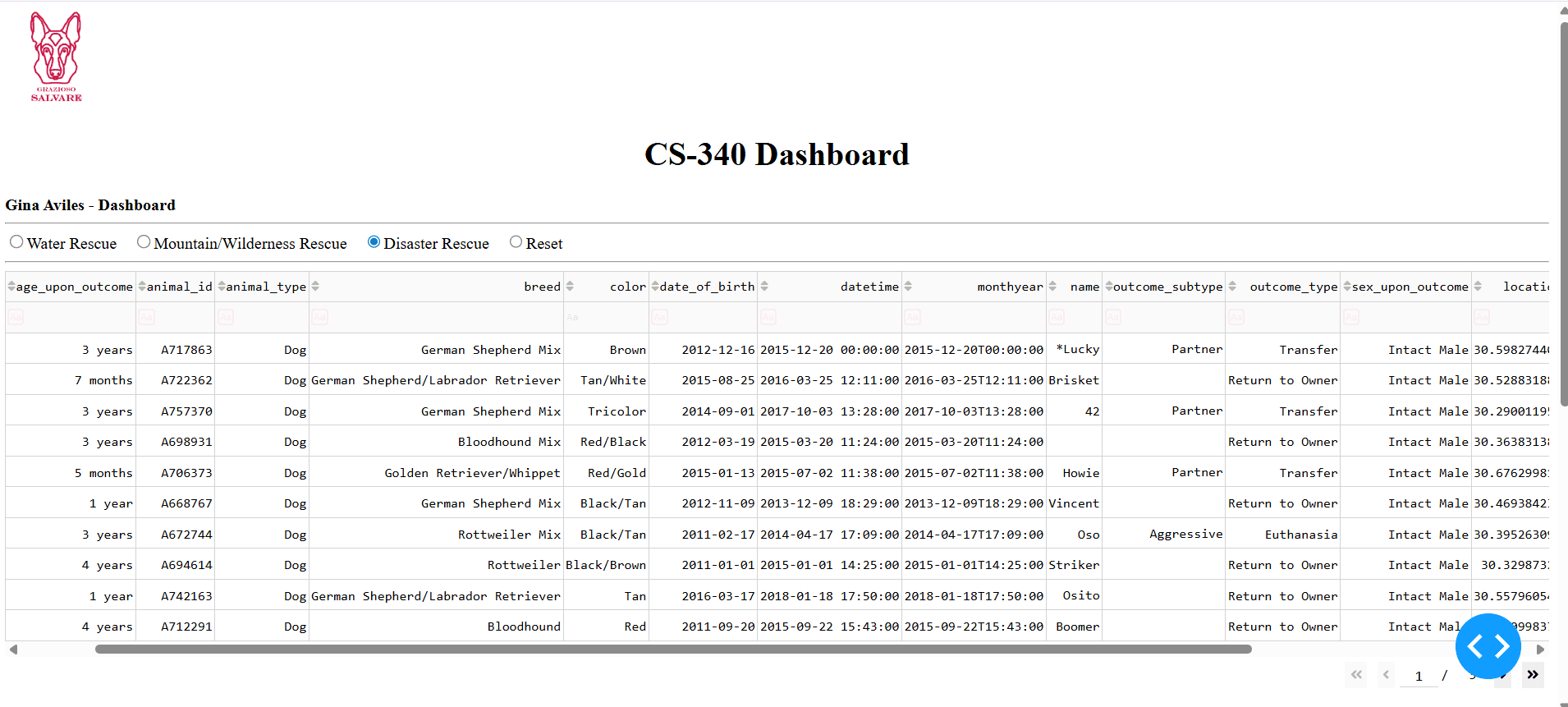 Grazioso Salvare dashboard table with the disaster rescue filter selected
