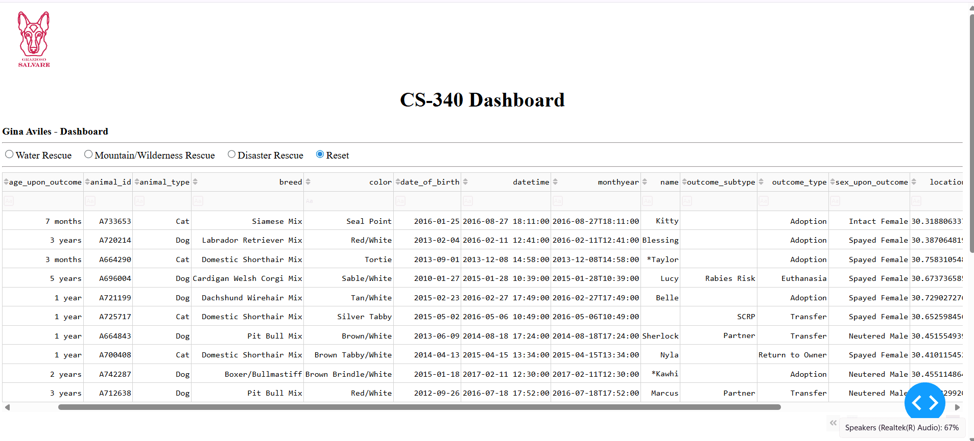 Grazioso Salvare dashboard showing the complete data table after reset