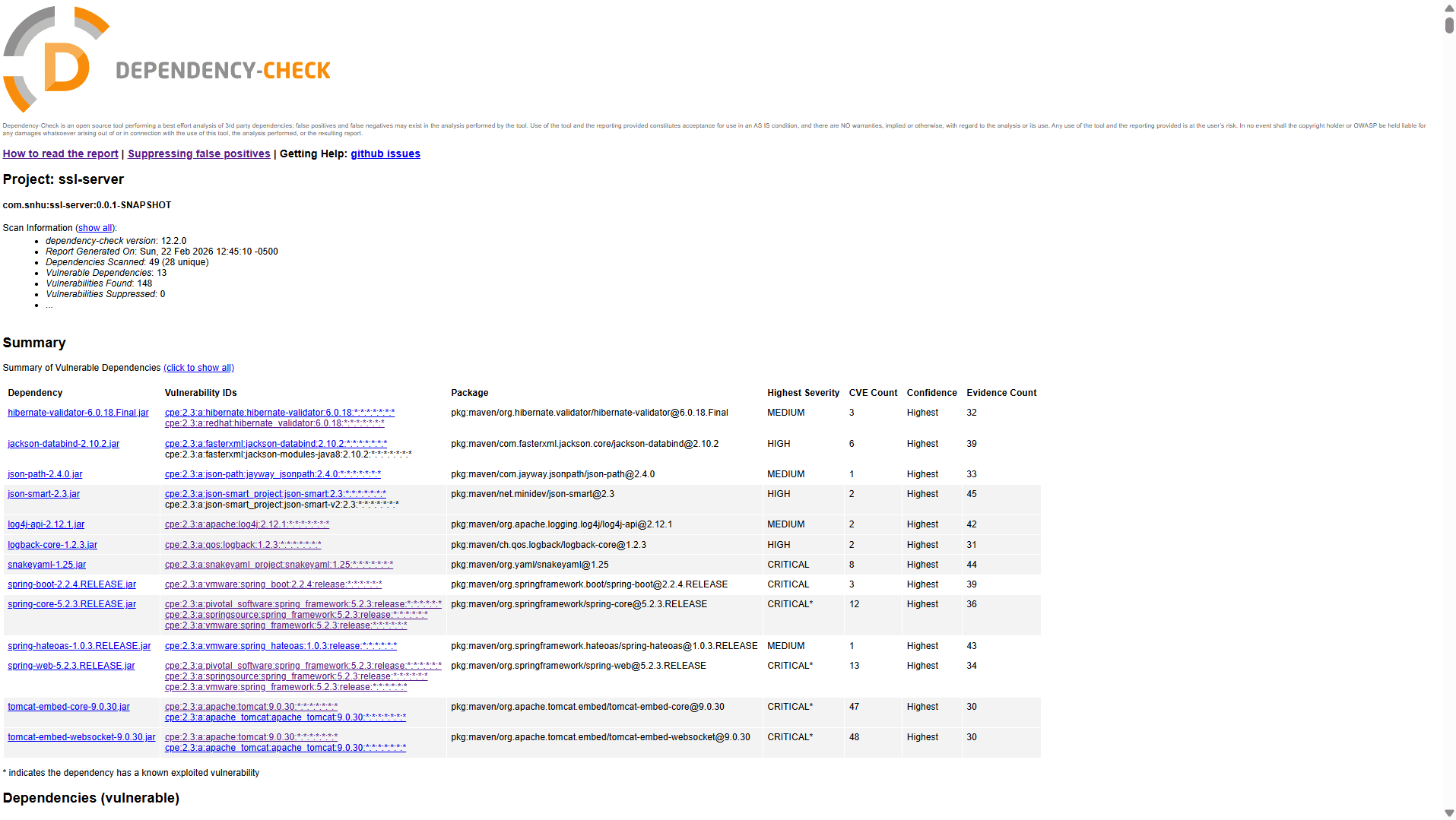 Initial OWASP Dependency-Check report for the Spring Boot SSL server